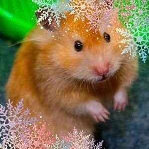 Meet your Posher, Bernabe